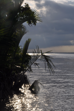 Cù lao Lợi Quan (25)