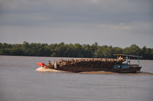 Cù lao Lợi Quan (29)