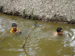 Cù lao Lợi Quan (32)