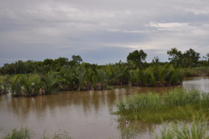 Promenage à travers l'île (12)