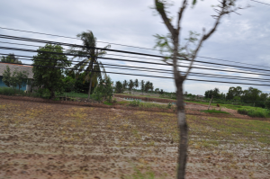 Promenage à travers l'île (2)