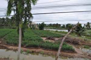 Promenage à travers l'île (3)