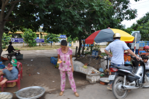 Promenage à travers l'île (4)