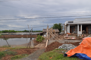 Promenage à travers l'île (6)