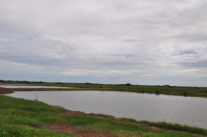 Promenage à travers l'île (7)