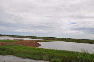 Promenage à travers l'île (8)
