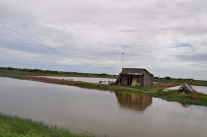 Promenage à travers l'île (9)