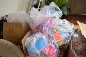 22 JUIN – 25 JUILLET 2019 POUSSE-POUSSE AU VIETNAM (6)