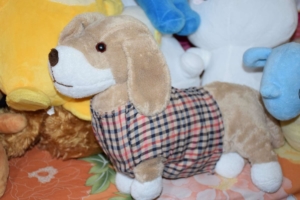 Idées de cadeaux pour les enfants parrainés (7)